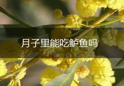 月子里能吃鲈鱼吗
