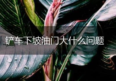 铲车下坡油门大什么问题
