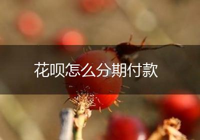 花呗怎么分期付款