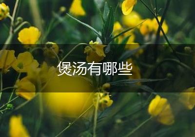 煲汤有哪些