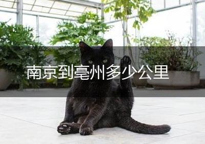 南京到亳州多少公里