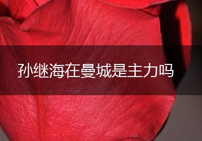 孙继海在曼城是主力吗
