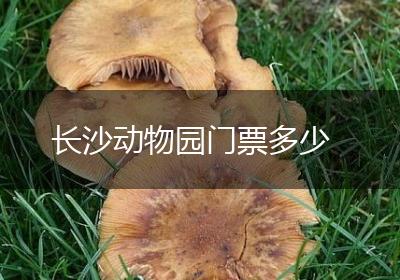 长沙动物园门票多少