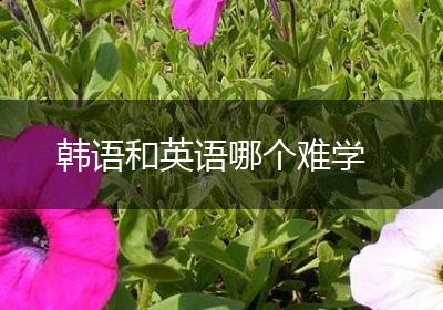韩语和英语哪个难学