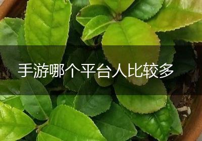 手游哪个平台人比较多