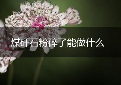 煤矸石粉碎了能做什么