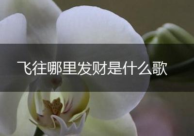 飞往哪里发财是什么歌