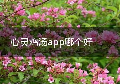 心灵鸡汤app哪个好