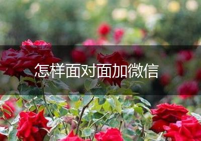 怎样面对面加微信