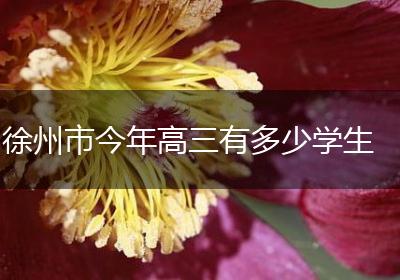徐州市今年高三有多少学生