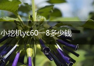 小挖机yc60一8多少钱
