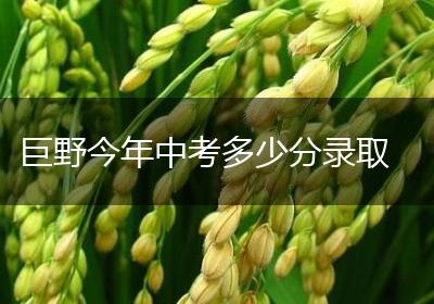 巨野今年中考多少分录取