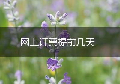 网上订票提前几天