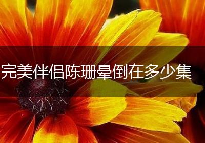 完美伴侣陈珊晕倒在多少集
