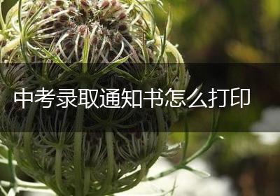 中考录取通知书怎么打印