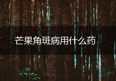 芒果角斑病用什么药