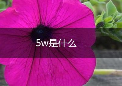 5w是什么