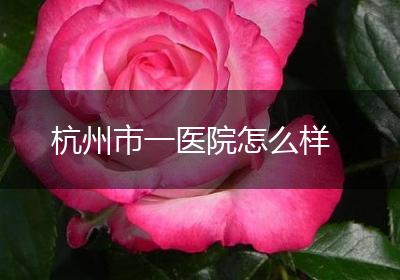 杭州市一医院怎么样