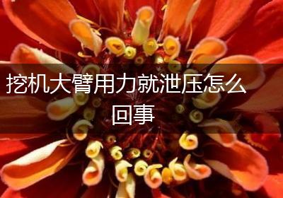 挖机大臂用力就泄压怎么回事