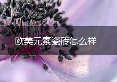 欧美元素瓷砖怎么样