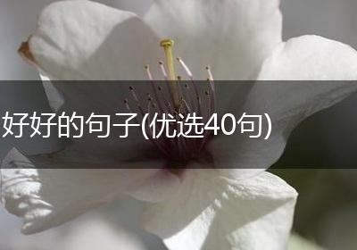 好好的句子(优选40句)