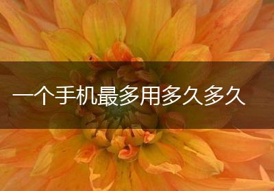一个手机最多用多久多久