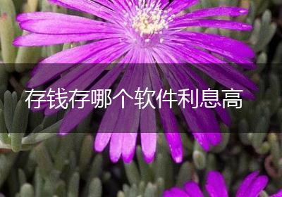 存钱存哪个软件利息高