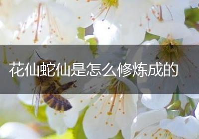 花仙蛇仙是怎么修炼成的