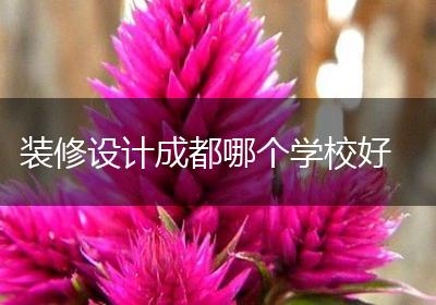 装修设计成都哪个学校好