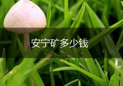 安宁矿多少钱
