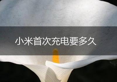 小米首次充电要多久