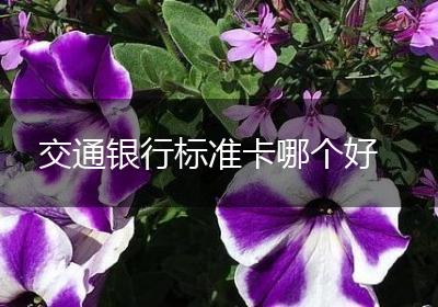 交通银行标准卡哪个好