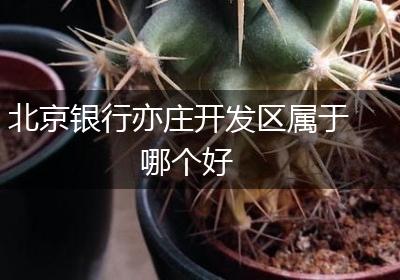 北京银行亦庄开发区属于哪个好