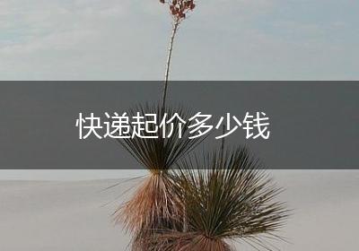 快递起价多少钱