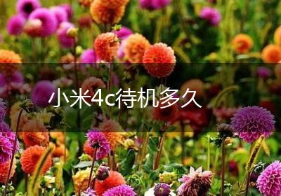 小米4c待机多久