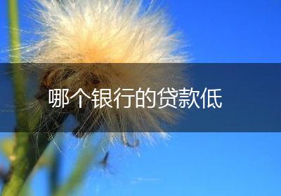 哪个银行的贷款低