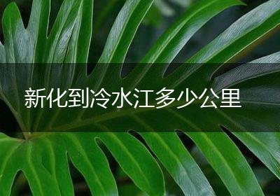 新化到冷水江多少公里
