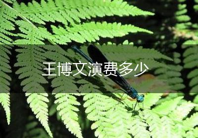 王博文演费多少