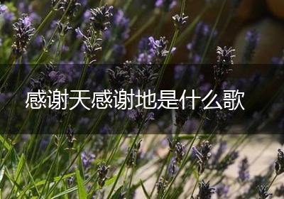 感谢天感谢地是什么歌