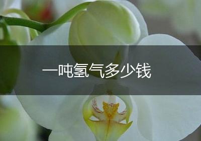 一吨氢气多少钱