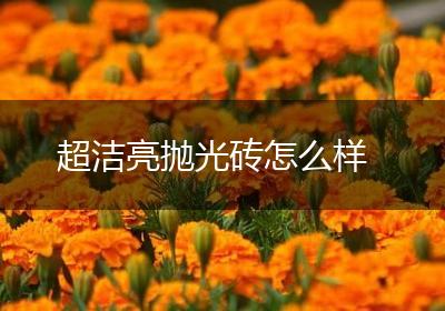 超洁亮抛光砖怎么样