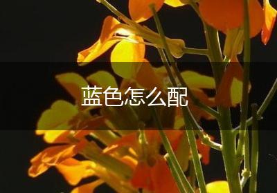 蓝色怎么配