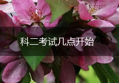 科二考试几点开始