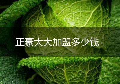 正豪大大加盟多少钱