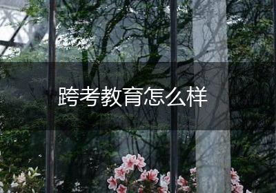 跨考教育怎么样