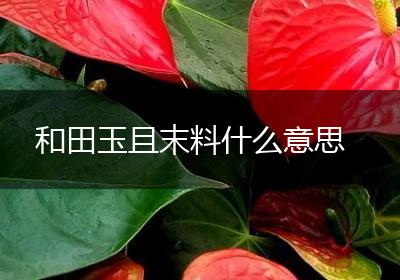 和田玉且末料什么意思