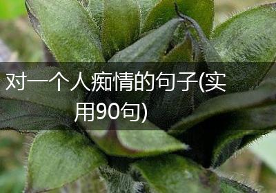 对一个人痴情的句子(实用90句)