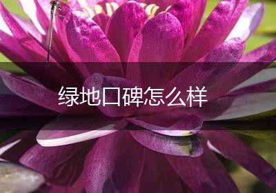 绿地口碑怎么样