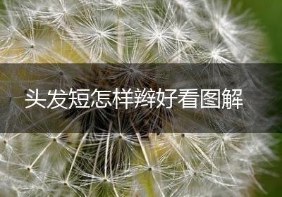 头发短怎样辫好看图解