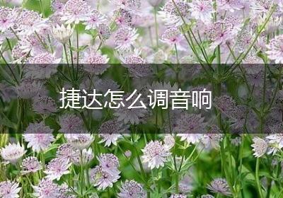 捷达怎么调音响
